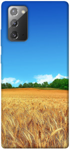 Чохол Пшеничне поле для Galaxy Note 20