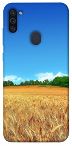 Чехол Пшеничное поле для Galaxy M11 (2020)