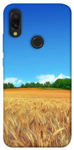 Чехол Пшеничное поле для Xiaomi Redmi 7