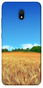 Чехол Пшеничное поле для Xiaomi Redmi 8a