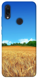 Чехол Пшеничное поле для Xiaomi Redmi Note 7