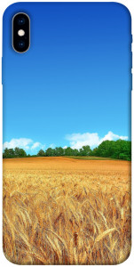 Чехол Пшеничное поле для iPhone XS (5.8")