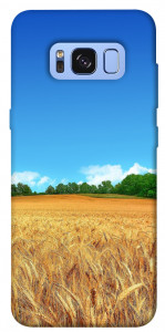 Чехол Пшеничное поле для Galaxy S8 (G950)