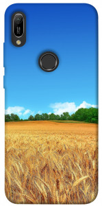 Чехол Пшеничное поле для Huawei Y6 (2019)