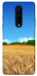 Чехол Пшеничное поле для OnePlus 8
