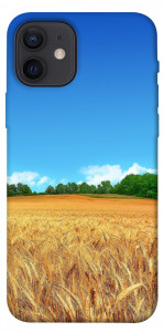 Чохол Пшеничне поле для iPhone 12
