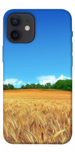 Чохол Пшеничне поле для iPhone 12 mini