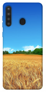 Чехол Пшеничное поле для Galaxy A21