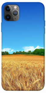 Чехол Пшеничное поле для iPhone 12 Pro