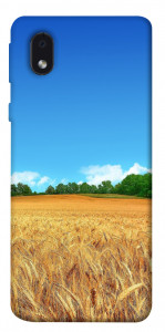 Чехол Пшеничное поле для Samsung Galaxy M01 Core