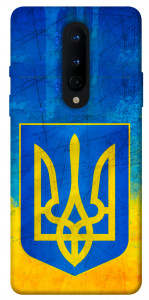 Чехол Символика Украины для OnePlus 8
