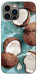 Чехол Summer coconut для iPhone 12 Pro Max