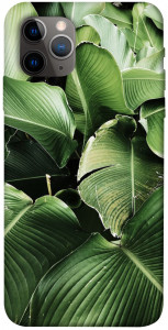 Чехол Тропическая листва для iPhone 11 Pro