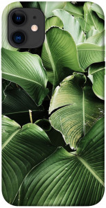 Чехол Тропическая листва для iPhone 11