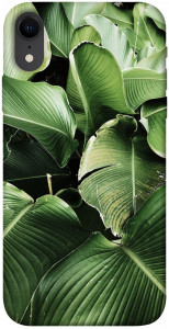 Чехол Тропическая листва для iPhone XR