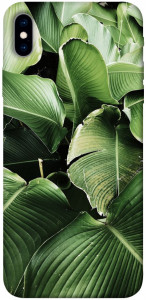 Чехол Тропическая листва для iPhone XS Max