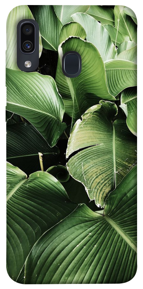 Чехол Тропическая листва для Galaxy A30 (2019)
