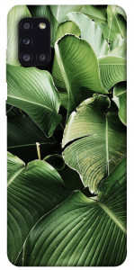 Чехол Тропическая листва для Galaxy A31 (2020)