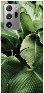 Чехол Тропическая листва для Galaxy Note 20 Ultra