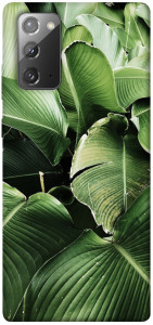 Чехол Тропическая листва для Galaxy Note 20