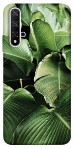 Чохол Тропічние листя для Huawei Honor 20