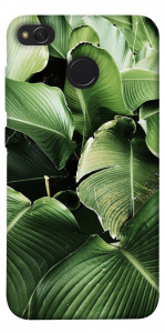 Чехол Тропическая листва для Xiaomi Redmi 4X