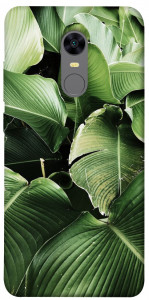 Чехол Тропическая листва для Xiaomi Redmi 5 Plus