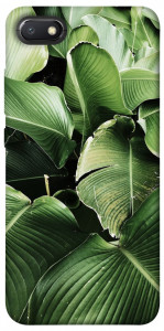 Чехол Тропическая листва для Xiaomi Redmi 6A