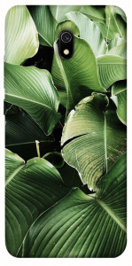 Чехол Тропическая листва для Xiaomi Redmi 8a