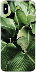 Чехол Тропическая листва для iPhone XS (5.8")