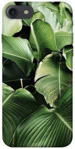 Чехол Тропическая листва для  iPhone 8 (4.7")