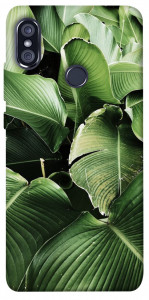 Чехол Тропическая листва для Xiaomi Redmi Note 5 (DC)