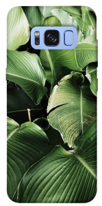 Чехол Тропическая листва для Galaxy S8 (G950)