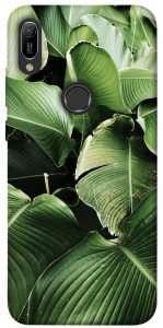 Чехол Тропическая листва для Huawei Y6 (2019)
