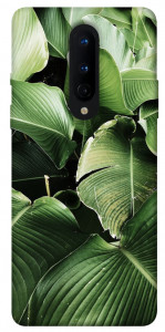 Чохол Тропічние листя для OnePlus 8