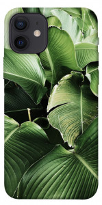 Чохол Тропічние листя для iPhone 12