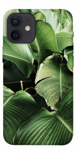 Чохол Тропічние листя для iPhone 12 mini