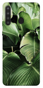 Чехол Тропическая листва для Galaxy A21