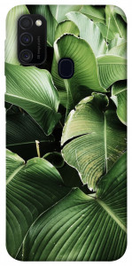 Чехол Тропическая листва для Samsung Galaxy M30s