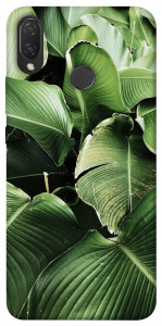 Чехол Тропическая листва для Huawei Nova 3i