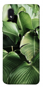 Чехол Тропическая листва для Samsung Galaxy M01 Core