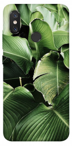 Чехол Тропическая листва для Xiaomi Mi 8