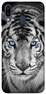 Чехол Бенгальский тигр для Galaxy M20