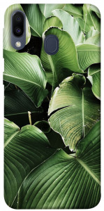 Чехол Тропическая листва для Galaxy M20