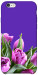 Чехол Тюльпаны для iPhone 6