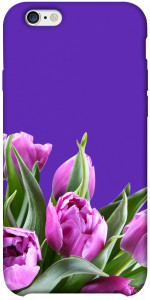 Чехол Тюльпаны для iPhone 6 plus (5.5'')