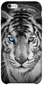 Чохол Бенгальський тигр для iPhone 6 (4.7'')