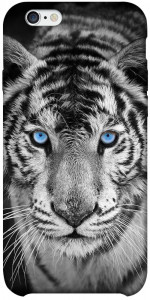 Чехол Бенгальский тигр для iPhone 6 plus (5.5'')