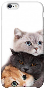 Чохол Три коти для iPhone 6 (4.7'')