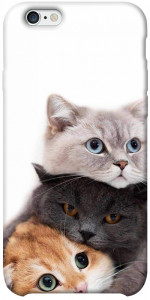 Чехол Три кота для iPhone 6 plus (5.5'')